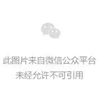 微信图片_20241021104942