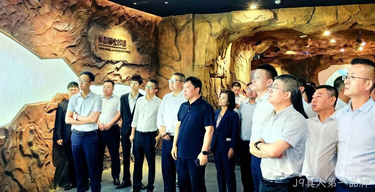 图片13